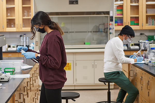 Students work in a biochemistry lab